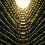 تبلیغات محیطی و فضاسازی