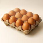 بسته بندی تخم مرغ محلی