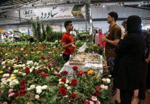 نمایشگاه گل و گیاه کرمانشاه